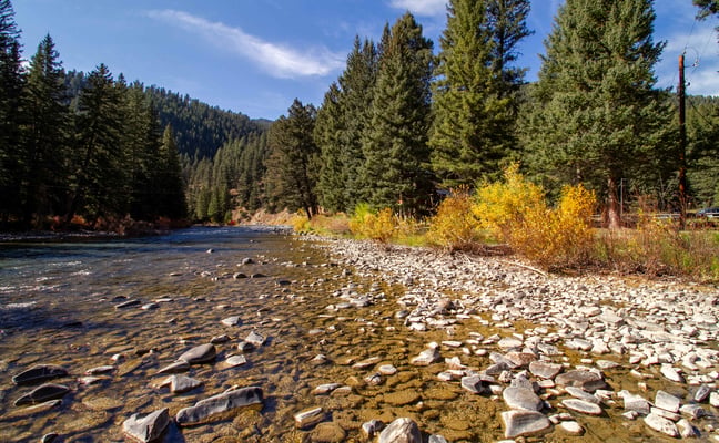 Rocky riverbank with clear flowing water, golden autumn shrubs, and dense coniferous forest under blue sky